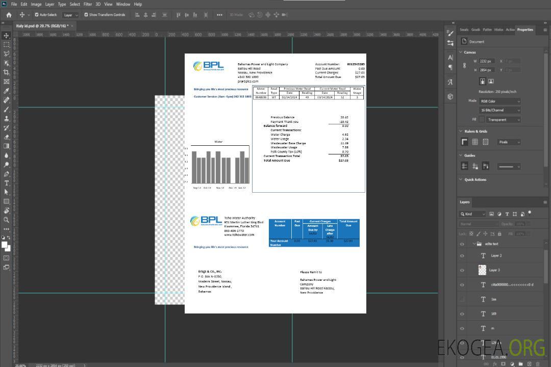 Modèle de facture de services publics de la Bahamas Power and Light Company au format Word et PDF template